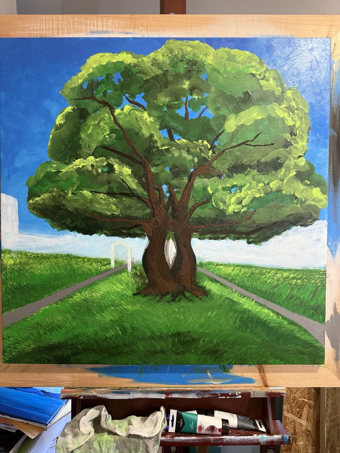 Large green tree with intertwined trunks between paths